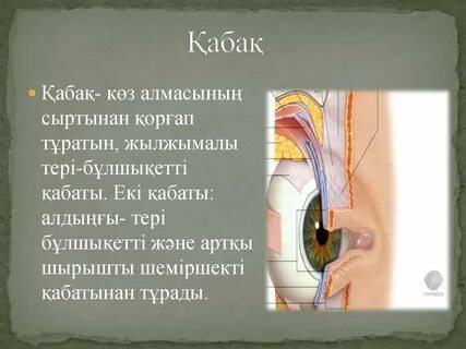 Анальды тығын