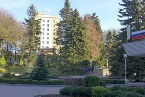 Сайт санатория дубовая роща