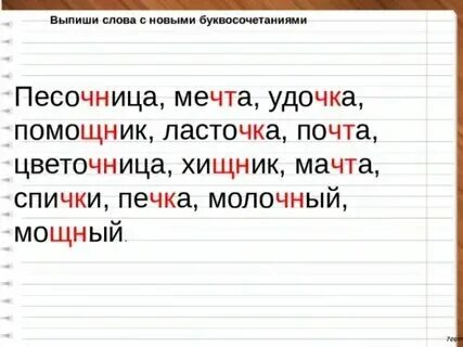 Слова с сочетаниями чк чн нщ