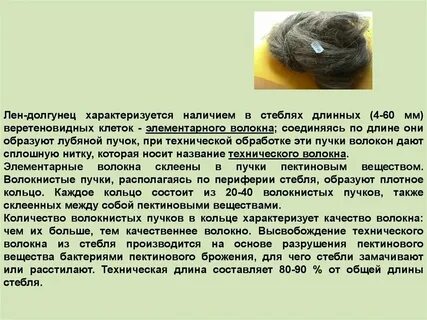 Производство льна долгунца