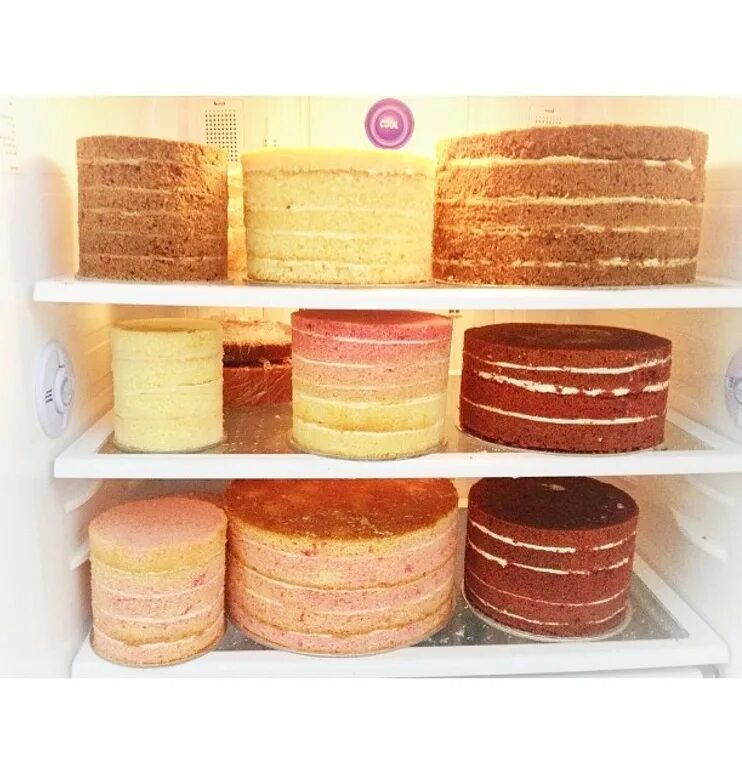 Сколько хранить бисквит в холодильнике. Коржи для торта. Торт с мягкими коржами. Корж выпечка. Пропитать коржи для торта.