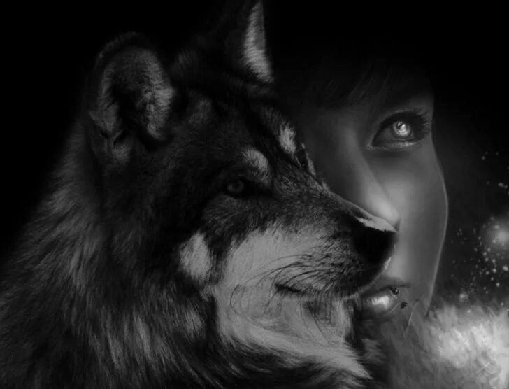 Одинокая волчица ночью. Woodscream волчица. Волчица и девушка. Женщина волк одиночка. Душа волка.