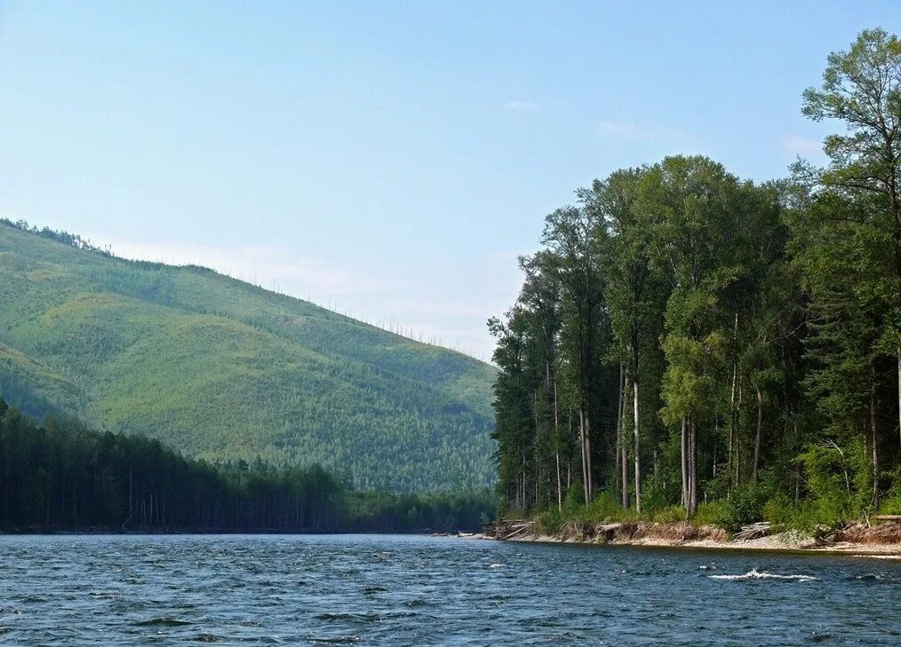 Притоки реки амгунь. Река амгунь. амгунь поселок. амгунь поселок хабаровский край. амгунь солнечный район.