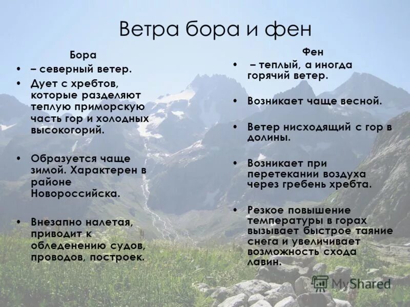 Холодный ветер в приморских местностях 4 буквы