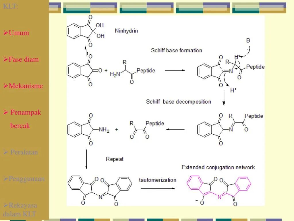 Schiff base formation reaction. Bases of formation. Schiff base reaction. Bases of formation. Ion exchange adsorption.