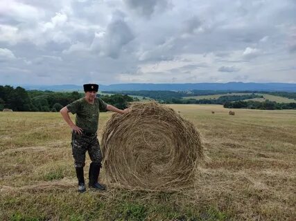 Косил сено старичок