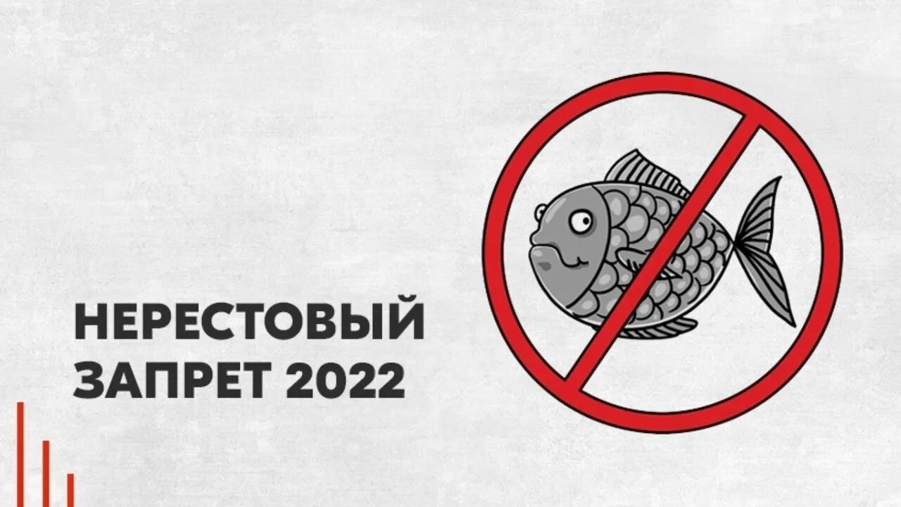 Ограничения на ловлю рыбы