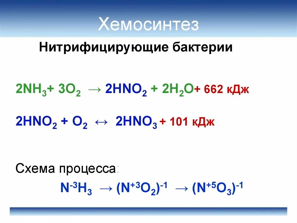 Хемосинтез характерен для. Водородные бактерии хемосинтетики. Серобактерии хемосинтез. Железобактерии реакции хемосинтеза. Уравнение реакций хемосинтеза 10 класс.