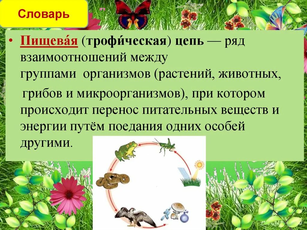 В природном сообществе растения обычно выполняют функцию. Взаимосвязь растений и животных. Взаимодействие между растениями и животными. Взаимоотношения между растениями и животными. Взаимосвязь между растениями и животными.