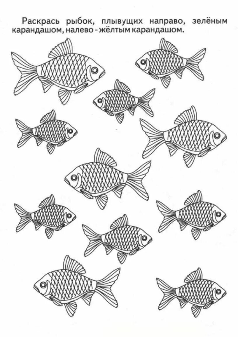План рыбы старшая группа. Задания для дошкольников ры. Рыбы задания для детей. Рыбы задания для дошкольников. Рыбки задания для детей.