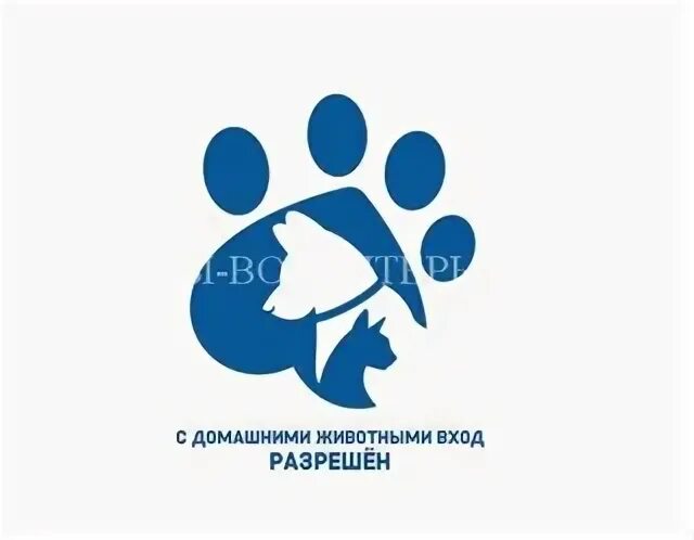 Разрешение входить