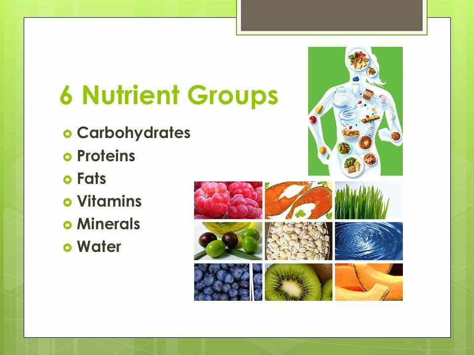 Protein minerals vitamins. Carbohydrates and Proteins. Proteins fats carbohydrates. Витамины на английском. Картинка Proteins fats carbohydrates Vitamins.