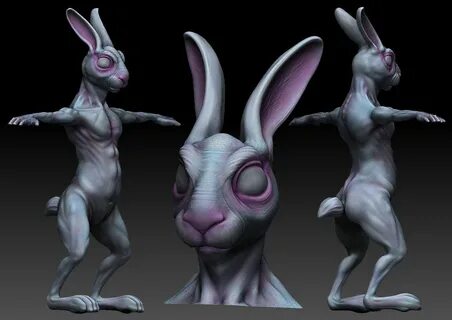 Rabbit demo