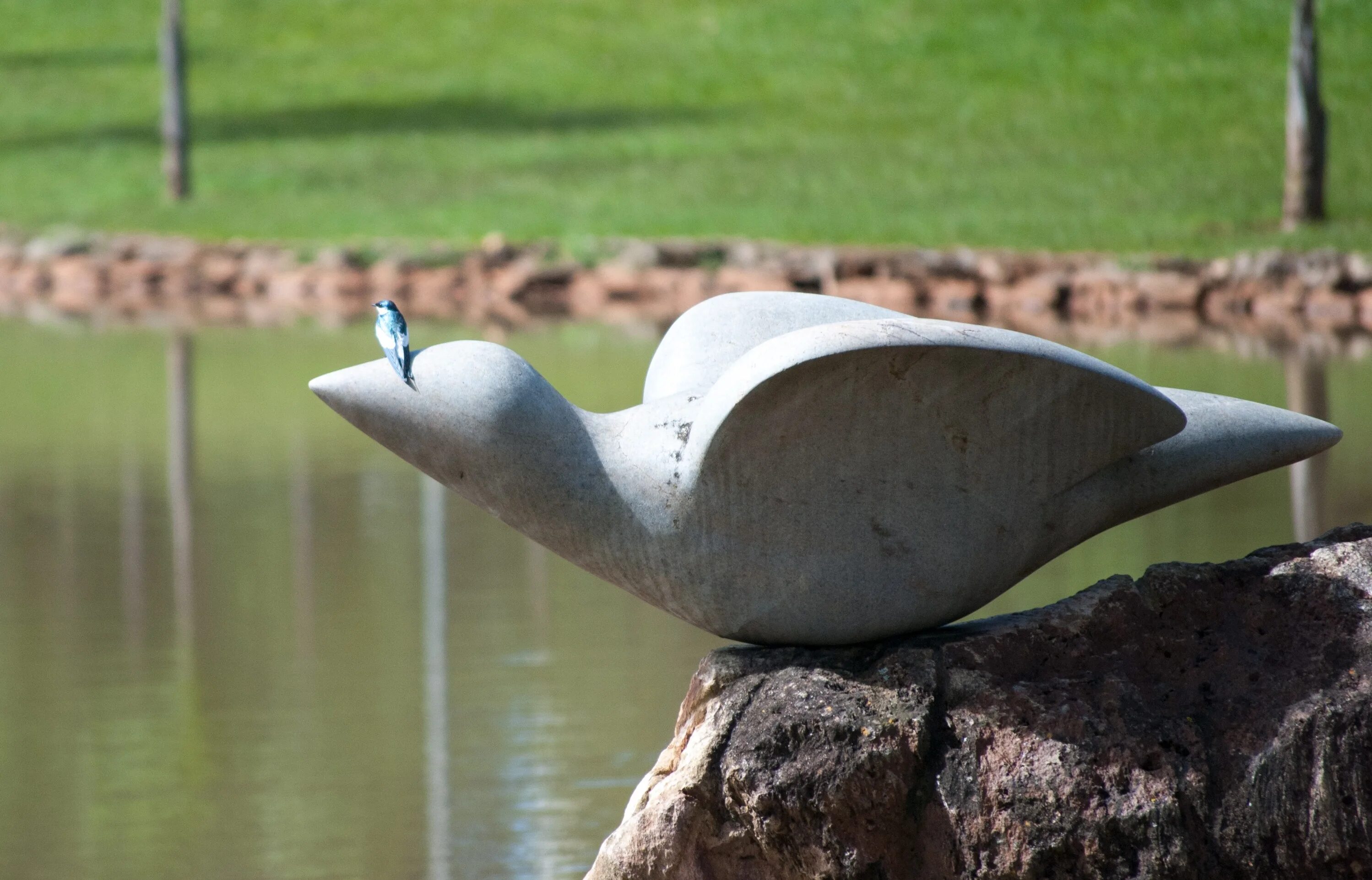 Stone birds. Скульптура птицы. Современная скульптура птицы. Каменная птица. Статуя птицы.