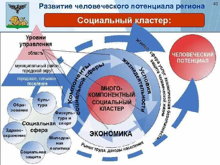 Интеллектуальный потенциал общества в образовании. Концепция развития человеческого потенциала. Социальный кластер. Социальная сфера кластер. Социально экономический кластер.