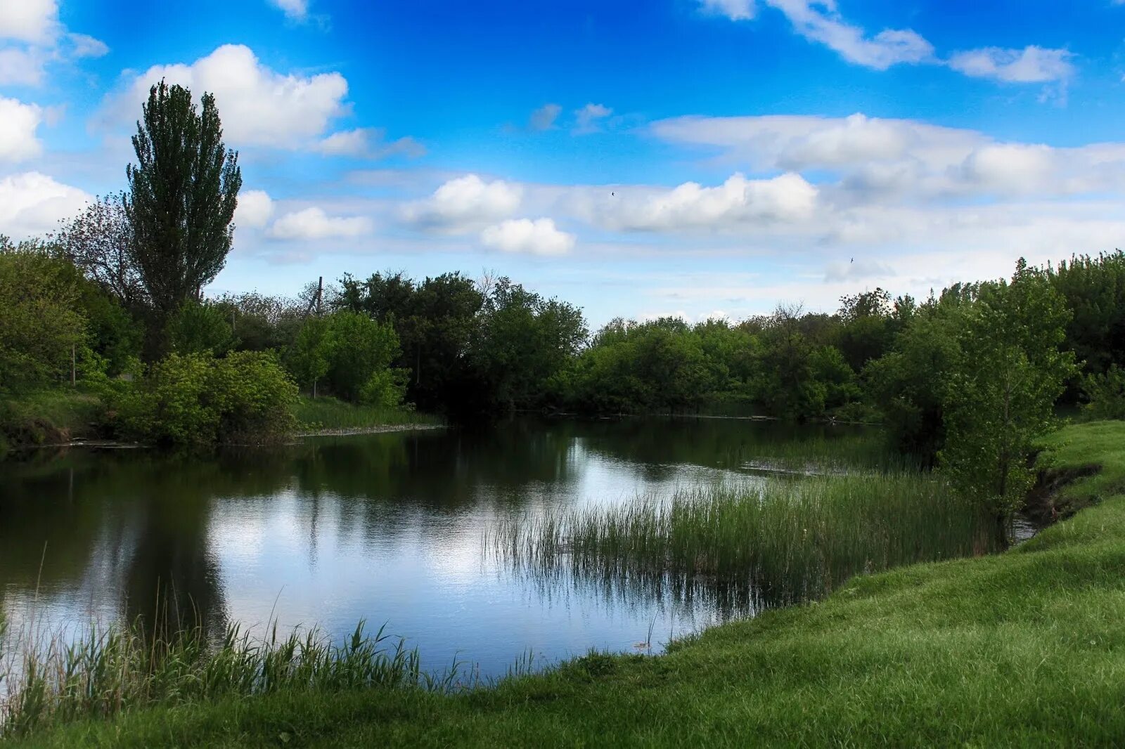 станица новопокровская река ея. река ея краснодарский край. река ея старощербиновская. исток реки ея краснодарский край. крыловский район река ея.