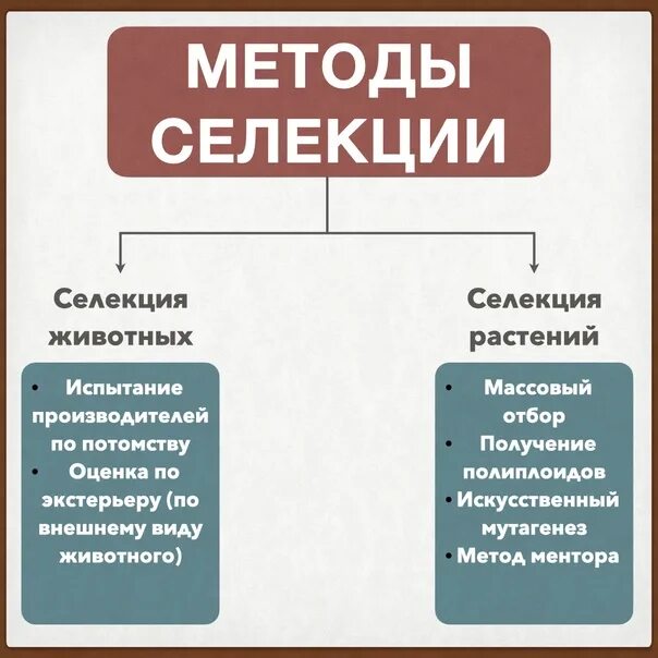 Методы селекции ЕГЭ биология. Методы селекции растений животных и микроорганизмов. Методы селекции животных ЕГЭ. Метод селекции животных и растений. Чем отличается селекция растений от селекции животных