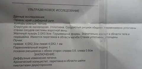 Узи почек кот