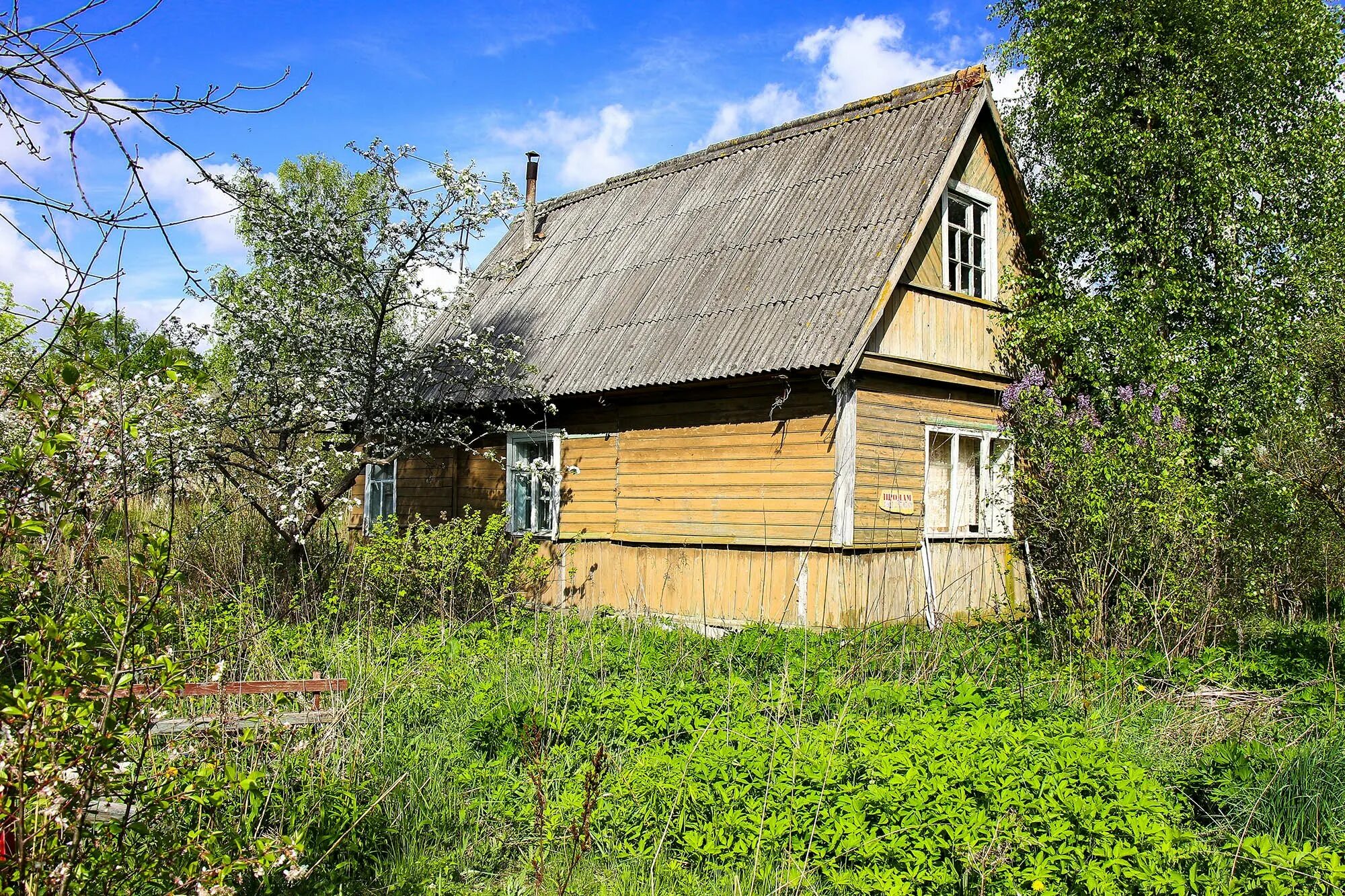 Ропша ленинградская область купить. Новая Ропша. Новая Ропша Ленинградская область. Новая Ропша Садоводство. Деревня Ропша Ленинградская область.