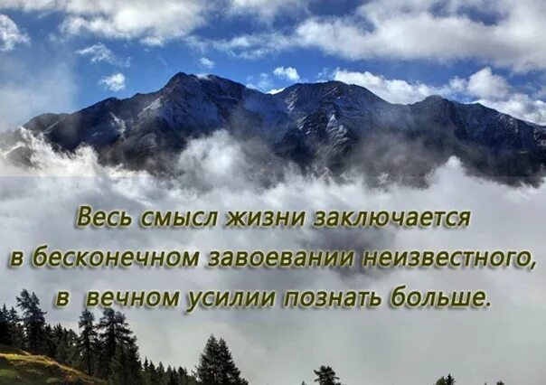 Весь смысл жизни заключается в бесконечном. Картинки в чем заключается жизнь. Весь смысл. Смысл жизни доброе расположение духа. В чем заключается жизнь человека на земле