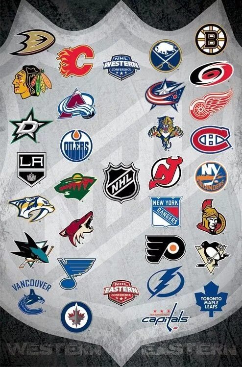 NHL команды. Эмблема НХЛ. Значки команд НХЛ. NHL эмблемы клубов. Очки команд нхл