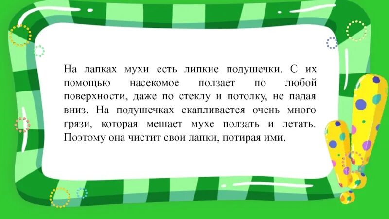 Песня лапки speed. Лапки текст. Здравствуй лето стихотворение потирают мухи лапки. Муха потирает лапки. Потирают мухи лапки вот и лето.