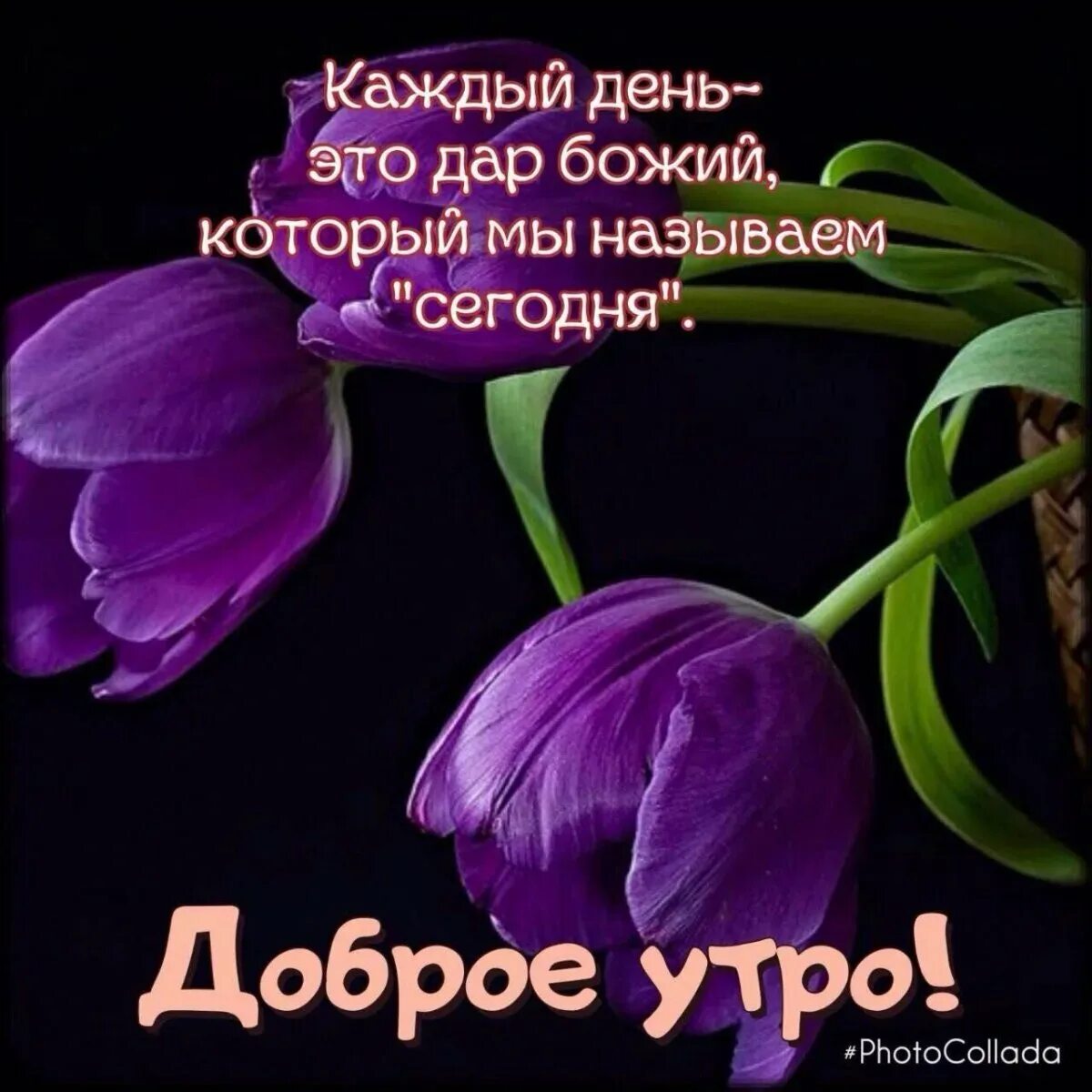 Утро доброе православные картинки с хорошими пожеланиями. Христианские пожелания доброго утра. христианские пожелания с добрым утром. христианские открытки с добрым утром. православные пожелания с добрым утром.