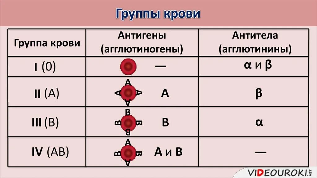 Определение антигенов системы резус. Схема переливания крови 8 класс биология. Схема группы крови резус-фактор. Схема совместимости групп крови биология 8 класс. Группы крови резус-фактор переливание крови.