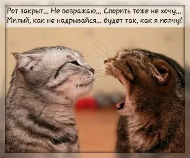 В жизни приходится очень много спорить возражать