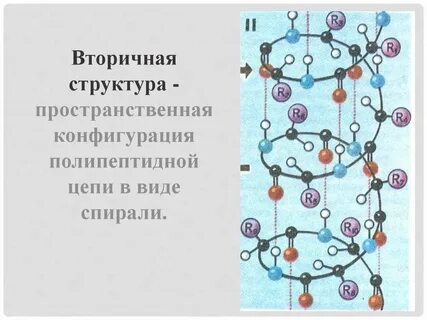 Пространственная конфигурация первичной структуры