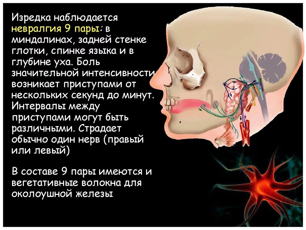 8 Пара черепно мозговых нервов. Седьмой черепно мозговой нерв. 7 И 8 пара черепных нервов.