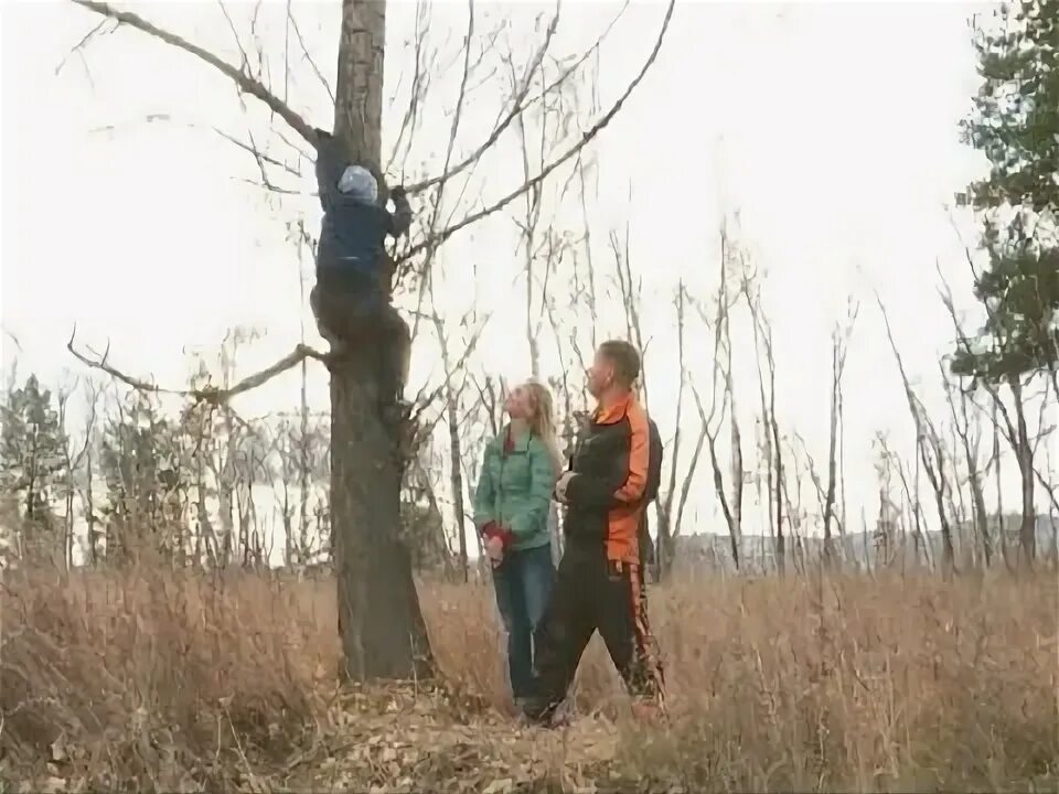 Залезать на дерево проверочное. Самозащита дерево. забраться на дерево с помощью веревки. лажу по деревьям как правильно. как научиться лазить по деревьям.