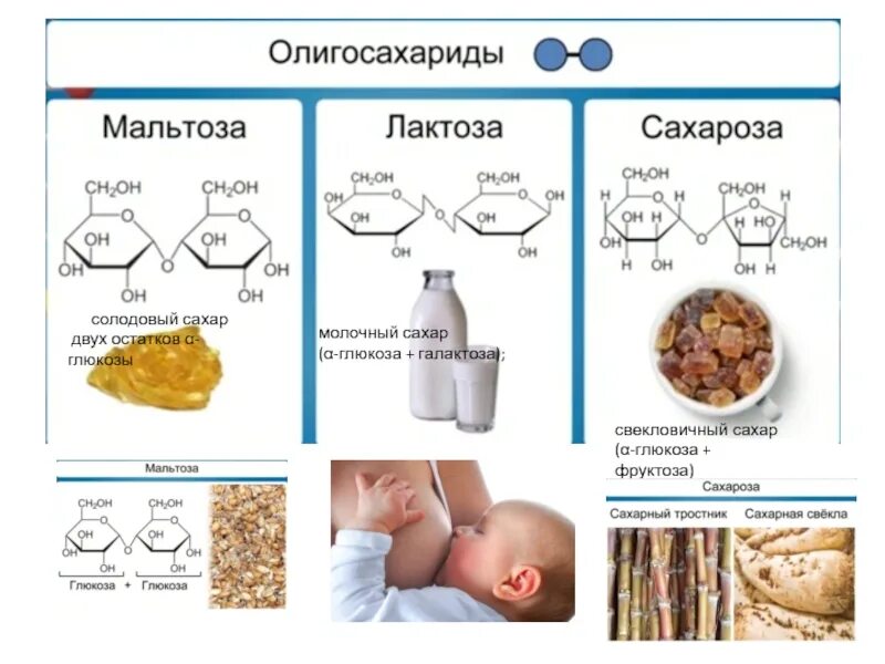 Лактоза где содержится в продуктах. Лактоза в молочных продуктах. галактоза продукты. галактоза содержится в. галактоза молочный сахар.