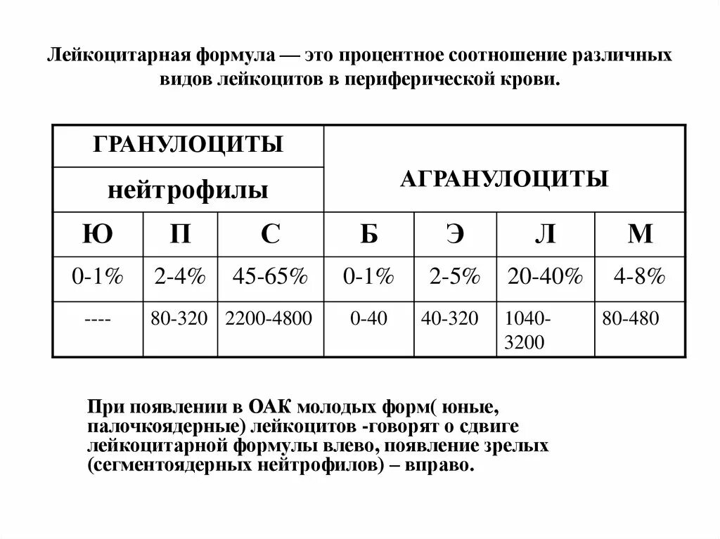 Лейкоцитов 0 что значит. Лейкоцитарная формула крови формула. Лейкоцитарная формула при бактериальной инфекции пример. Нормальные показатели лейкоцитарной формулы. Нормальные показатели анализа крови лейкоцитарная формула.