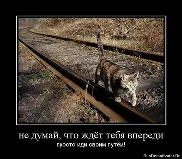 Видишь да идешь