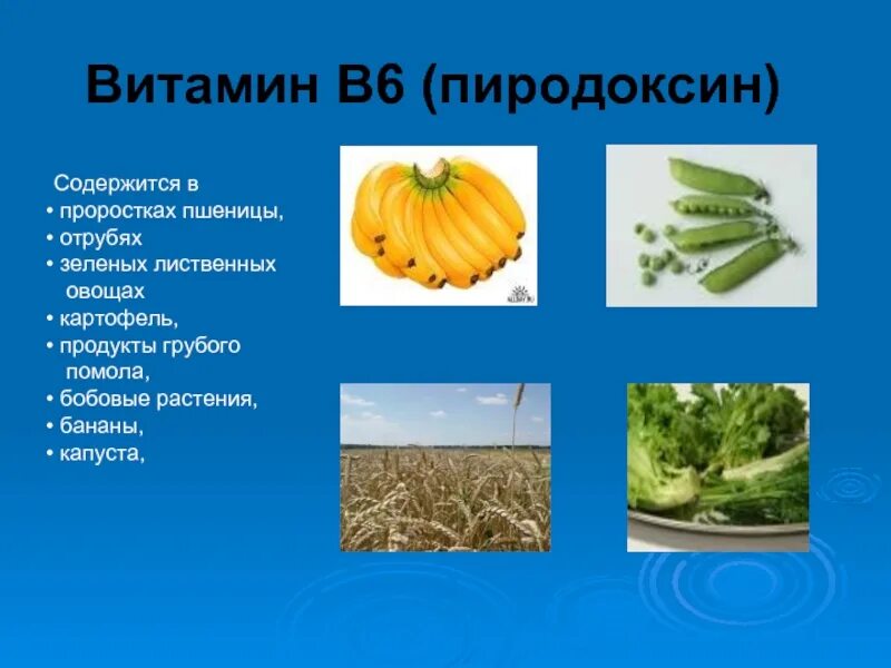 Продукт vi. Витамин в6 содержится. Витамин в6 содержится в продуктах. Витамин b6 где содержится. В каких продуктах содержится витамин в6.