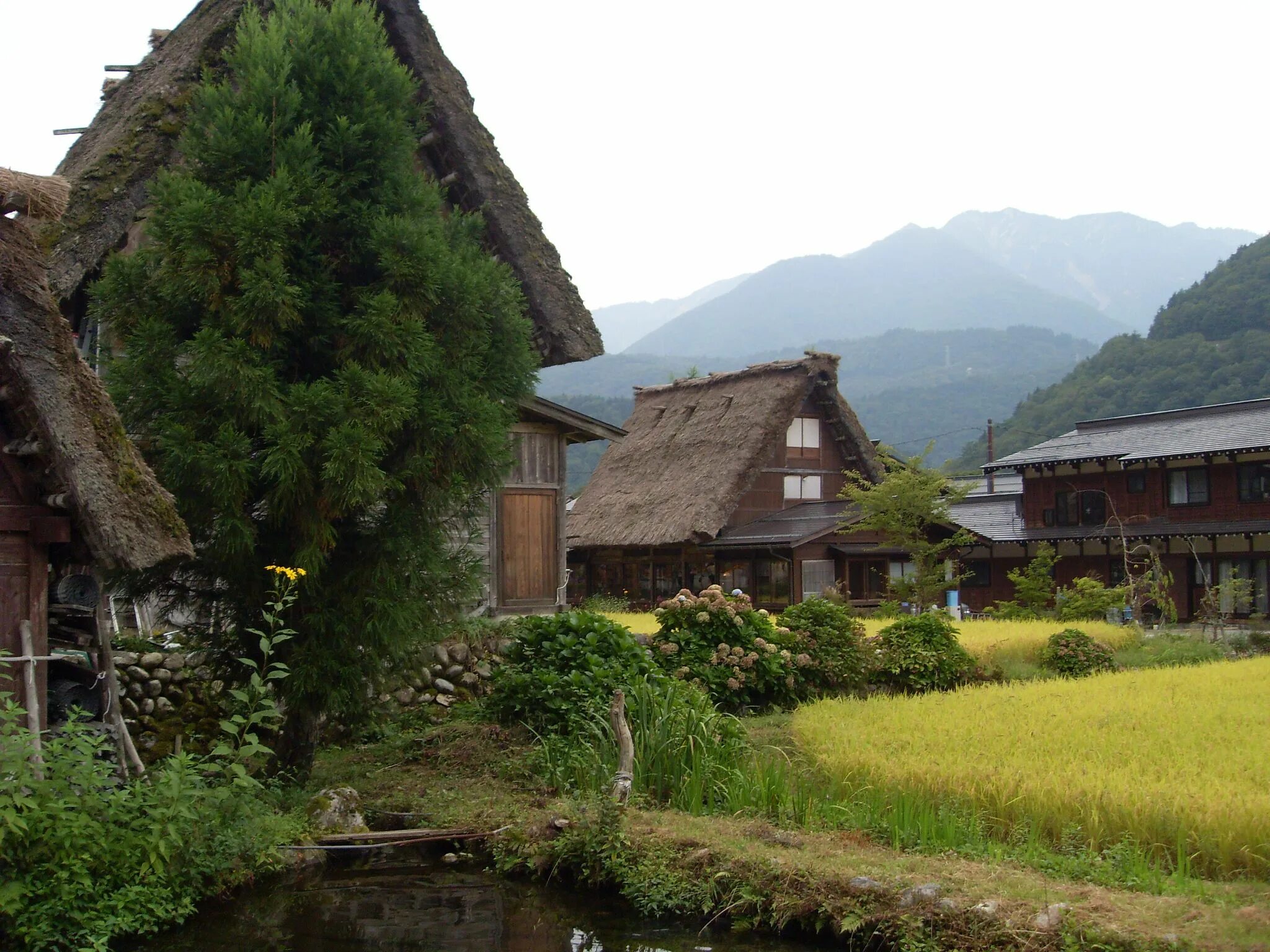 Japanese village. Деревня Сиракава-го Япония. Деревня Ширакава. Ширакава Япония деревня фото. Японская деревня в горах.