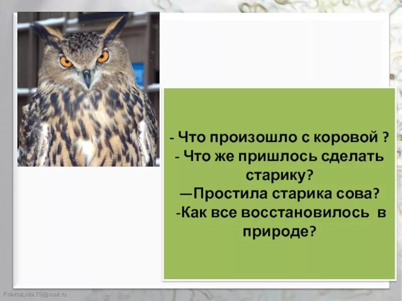 Какая пословица выражает главную мысль сказки сова. Презентации бианки сова. сова литературное чтение. бианки сова план. сова 2 класс литературное чтение.