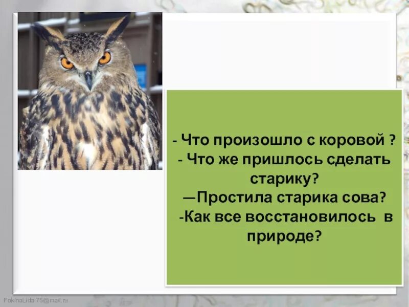 Бианки сова текст. Бианки в. "Сова". Презентация Бианки Сова. Сова литературное чтение. Произведение Сова.