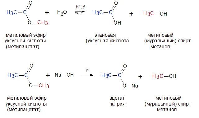 Сложные эфиры тест с ответами. Щелочной гидролиз сложных эфиров. Омыление сложных эфиров кислотой. Щелочной гидролиз уксусной кислоты. Гидролиз сложного эфира уксусной кислоты.