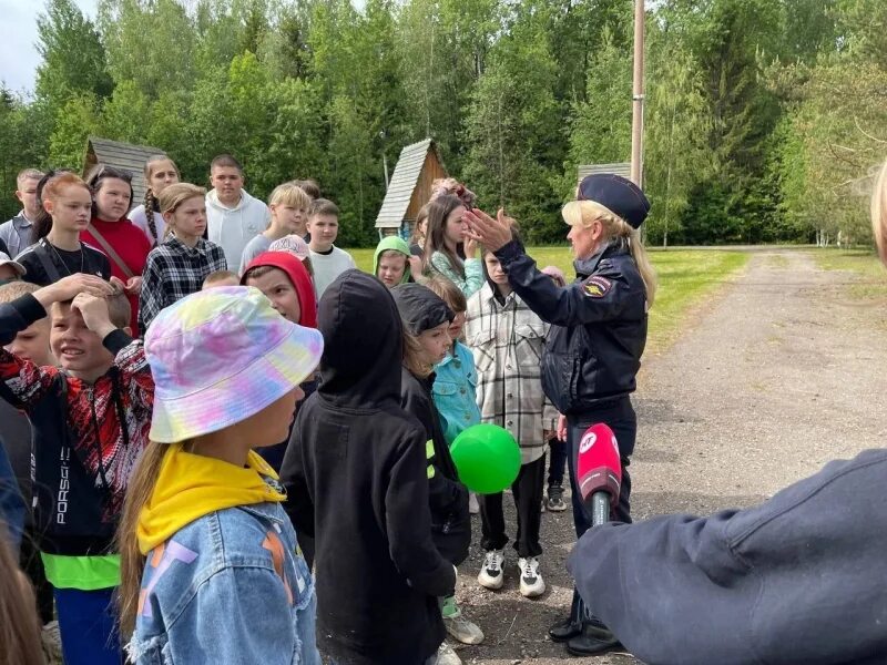 Детский лагерь новгородская область. Лагерь Волынь Новгородская область. Лагерь Волынь Новгородская область 2018. День безопасности в лагере. Лагерь Радуга Новгородская область.