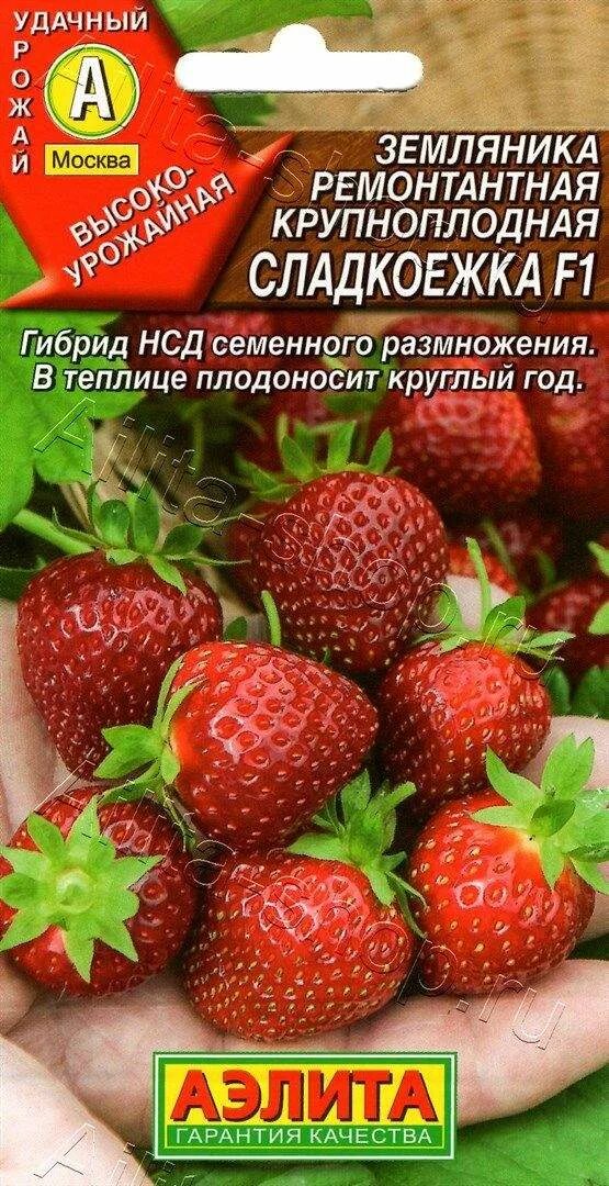 Сладкоежка описание. Земляника ремонтантная f1 Сластена. Семена земляника сладкоежка f1.