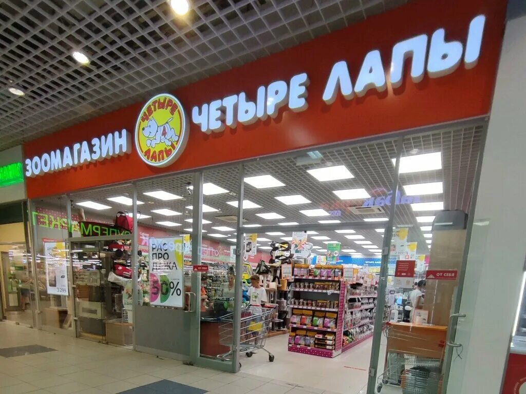 четыре лапы воронеж ленинский проспект. четыре лапы воронеж ленинский проспект. 4 лапы воронеж. зоомагазин 4 лапы воронеж. четыре лапы арена.