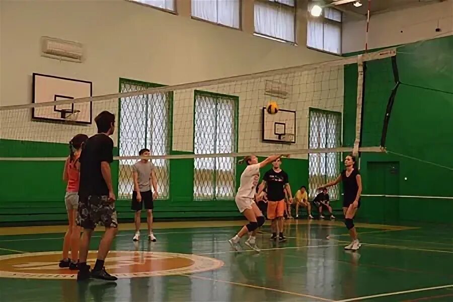 Занятия физической культурой в вузах. Университет секции. Спортивные секции в вузе. Матчевая встреча по волейболу. Центр спорта василеостровского района.
