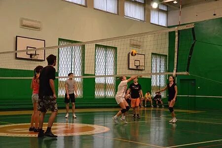 Университет секция