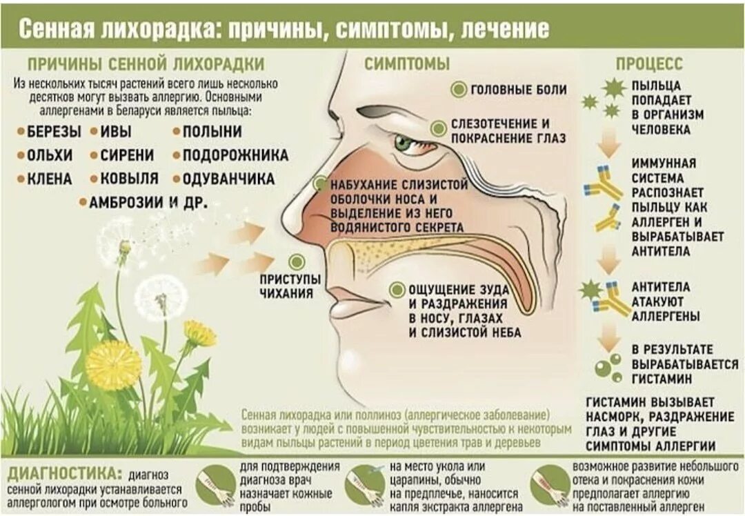 Реакция на аллергены. Сенная лихорадка поллиноз симптомы. Поллиноз сезонный аллергический ринит. Полипоз Сенная лихорадка. Аллергия на пыльцу.