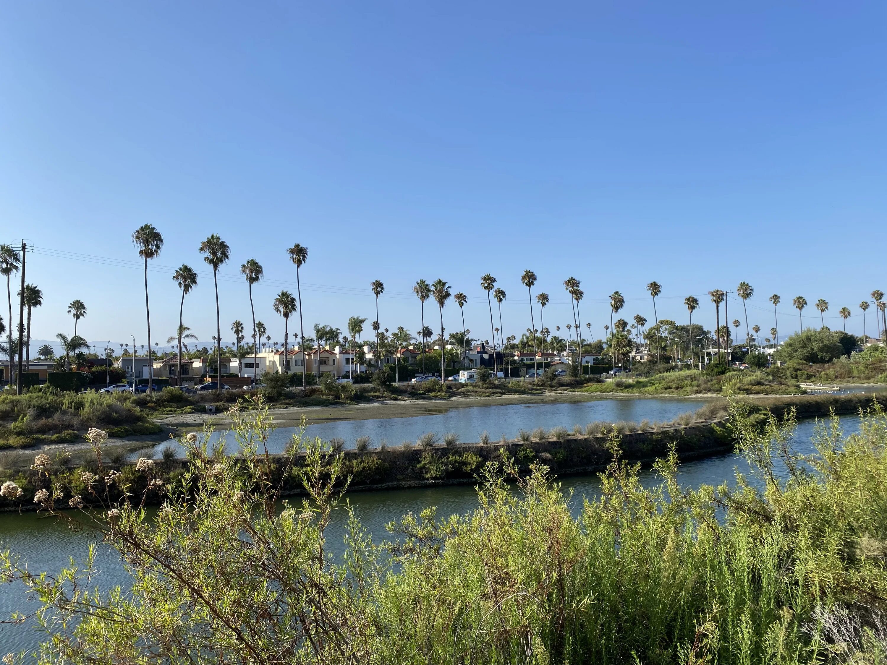 Del rey california