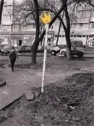 Военвед дзен