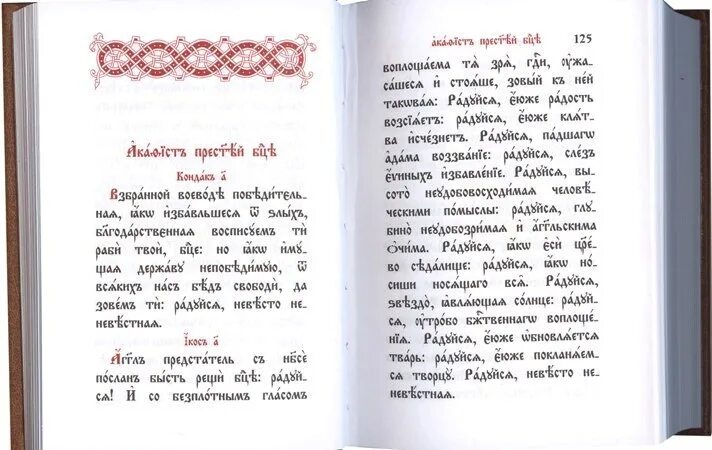 От луки на церковно славянском. Молитвослов Псалтирь на церковно-Славянском. Молитвослов на церковнославянском. Православные книги на церковно Славянском языке. Псалтирь крупный шрифт на церковнославянском.