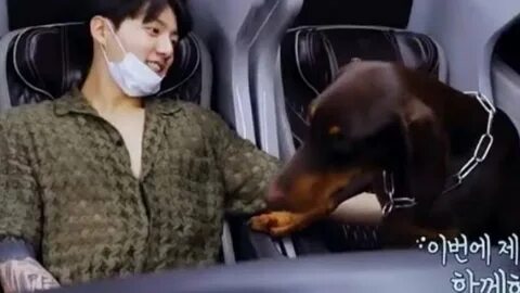 Jungkook's dog bam with jimin and suga 😍. 